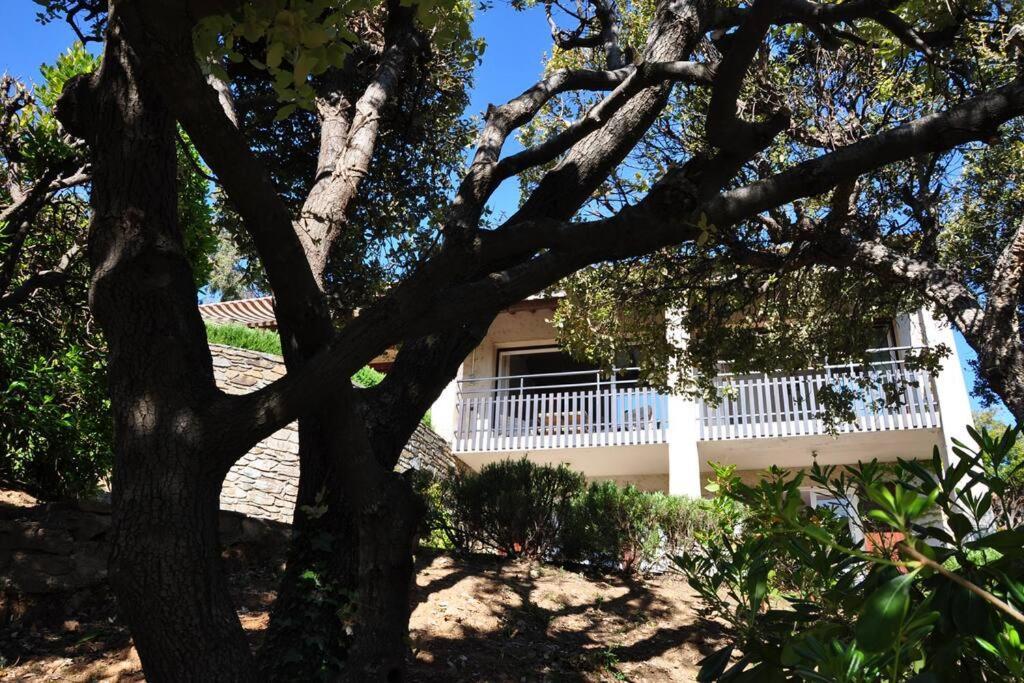 Villa Abeille : Douces Vacances D'Ete Avec Vue Mer Cavalaire-sur-Mer Exterior photo