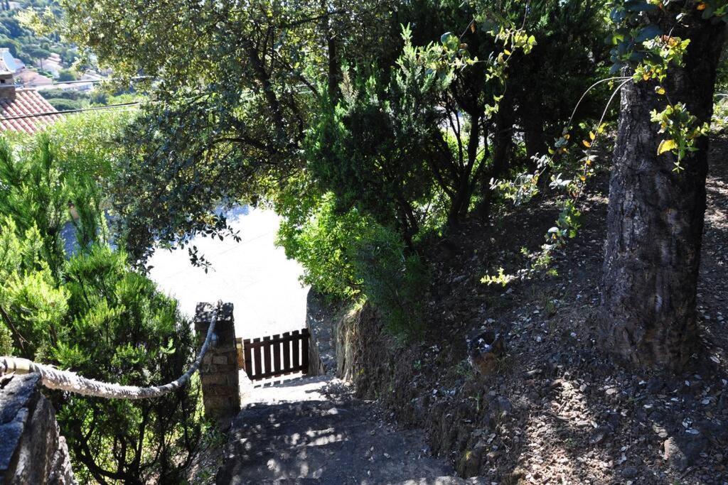Villa Abeille : Douces Vacances D'Ete Avec Vue Mer Cavalaire-sur-Mer Exterior photo
